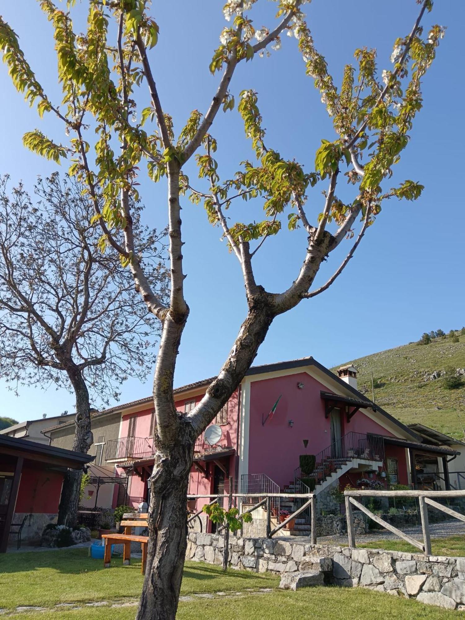 Agriturismo Casa Della Nonna Mormanno Eksteriør bilde