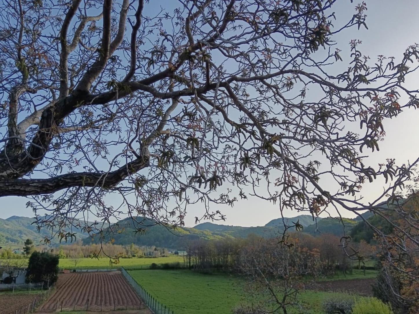 Agriturismo Casa Della Nonna Mormanno Eksteriør bilde