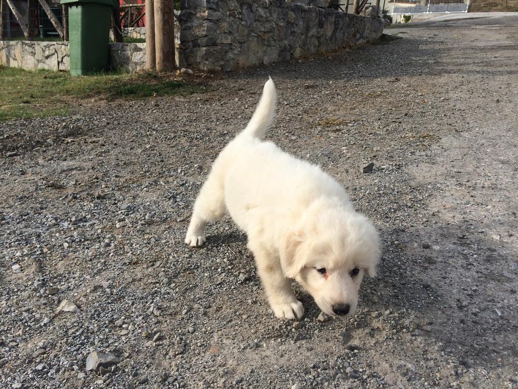 Agriturismo Casa Della Nonna Mormanno Eksteriør bilde